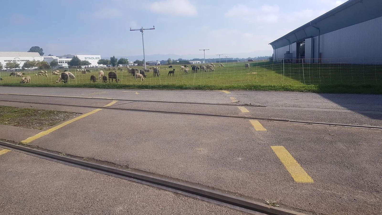 Street-level view of a level crossing in Switzerland