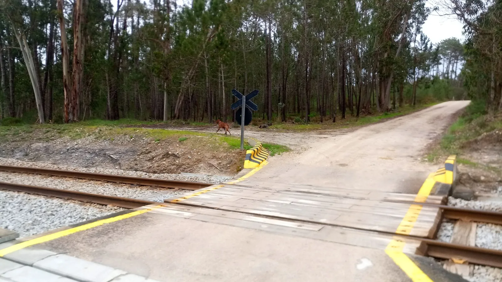 Street-level view of a level crossing in Portugal